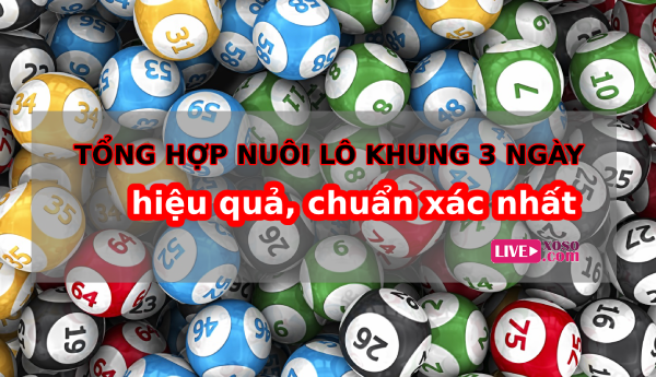 Tổng hợp nuôi lô khung 3 ngày hiệu quả, chuẩn xác nhất